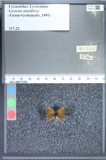 Media type: image;   Entomology 66727